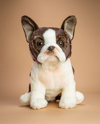 Boston Terrier dog soft toy gift - Send a Cuddly