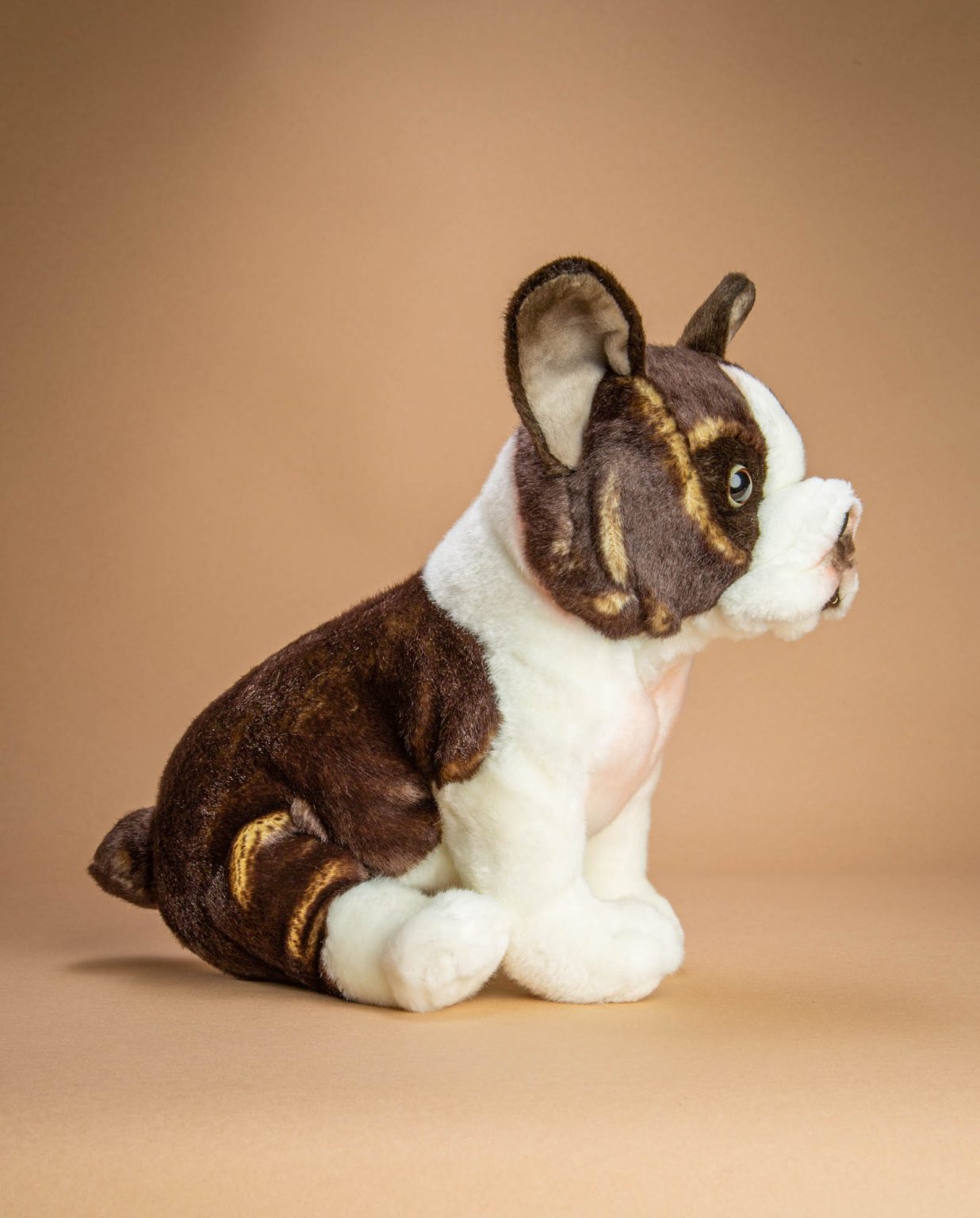 Boston Terrier dog soft toy gift - Send a Cuddly