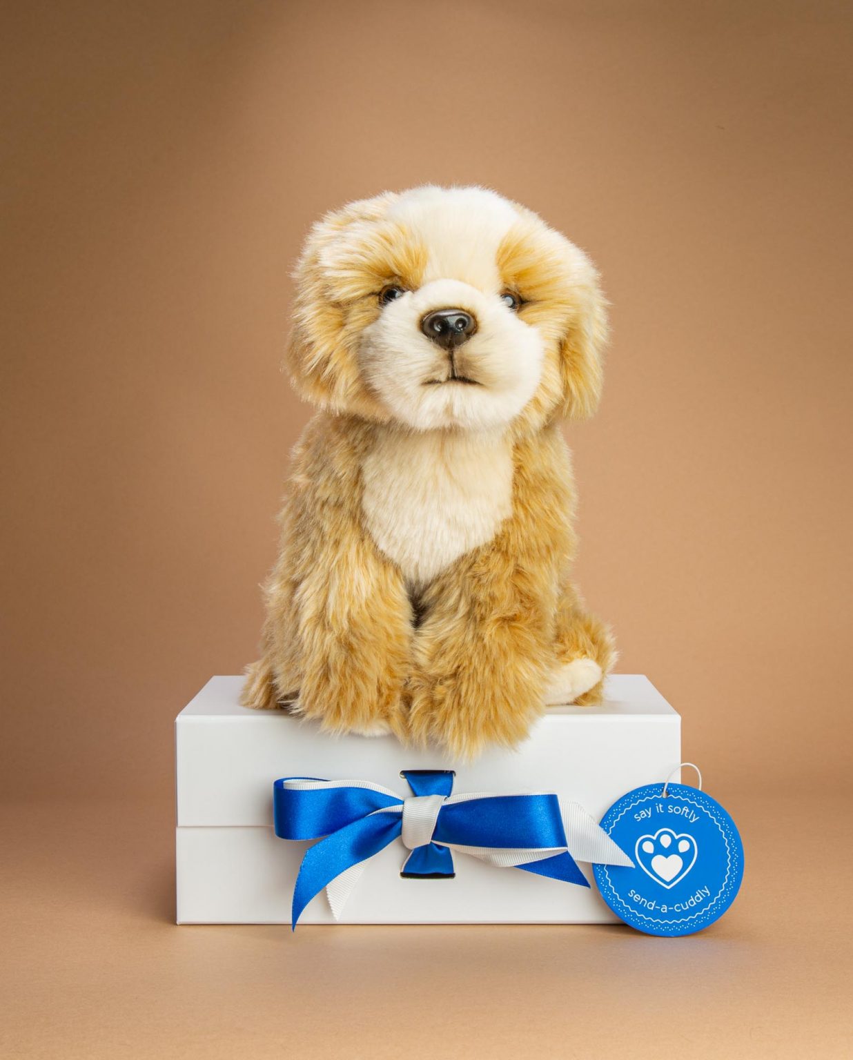 Shih Tzu Teddy Bear Dog Gift - Send a Cuddly