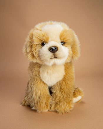 Shih Tzu Teddy Bear Dog Gift - Send a Cuddly