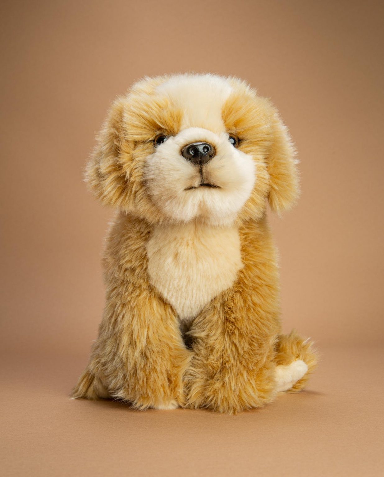 Shih Tzu Teddy Bear Dog Gift - Send a Cuddly