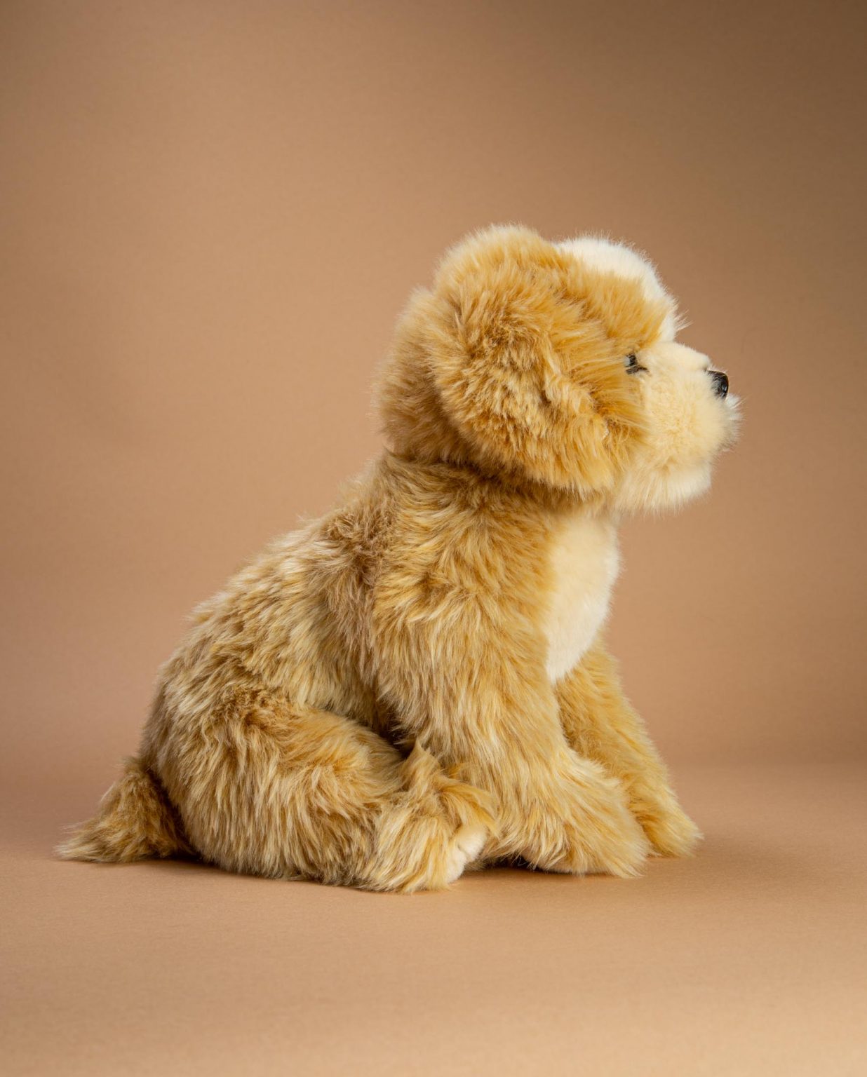 Shih Tzu Teddy Bear Dog Gift - Send a Cuddly