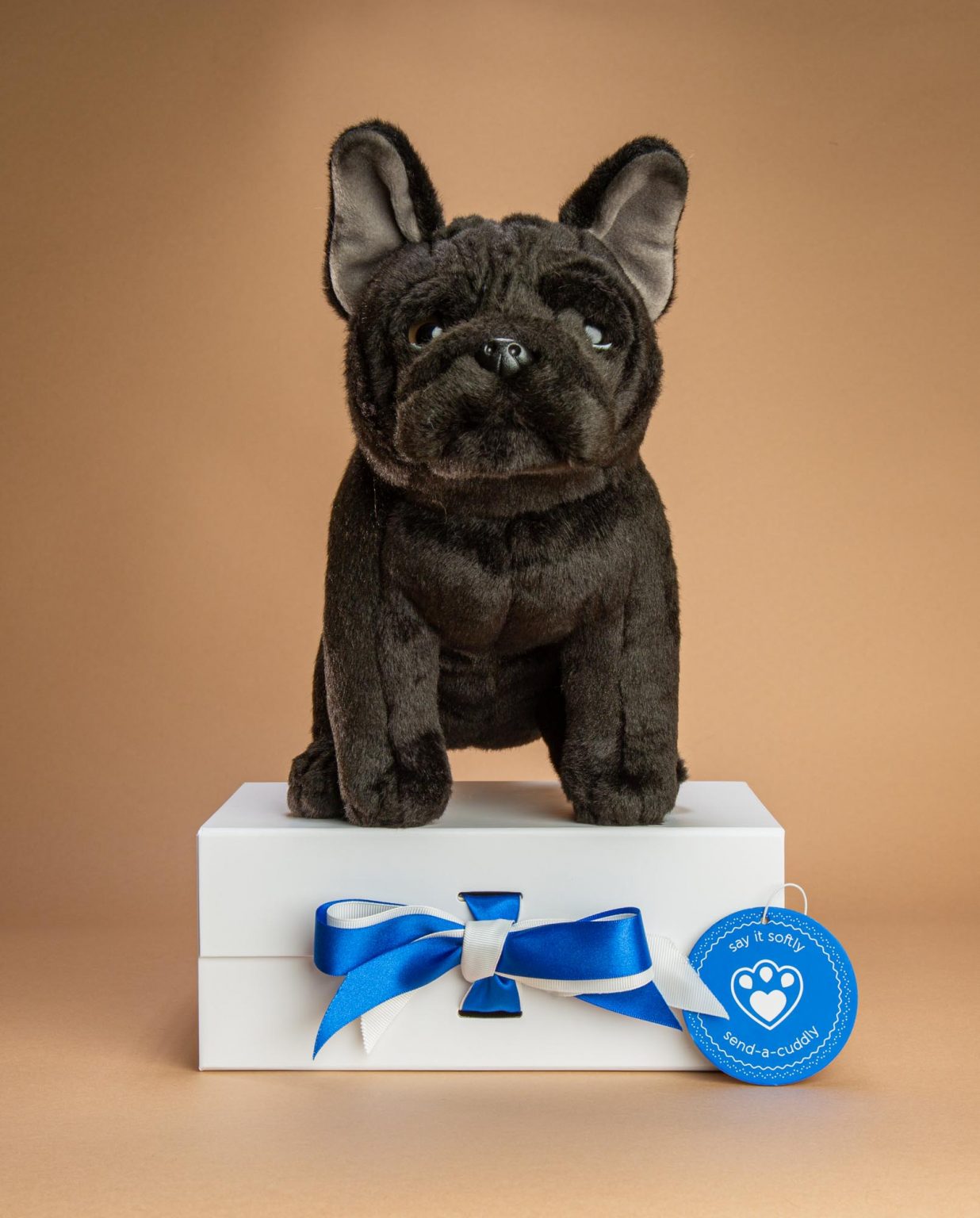 Black French Bulldog soft toy dog gift - Send a Cuddly