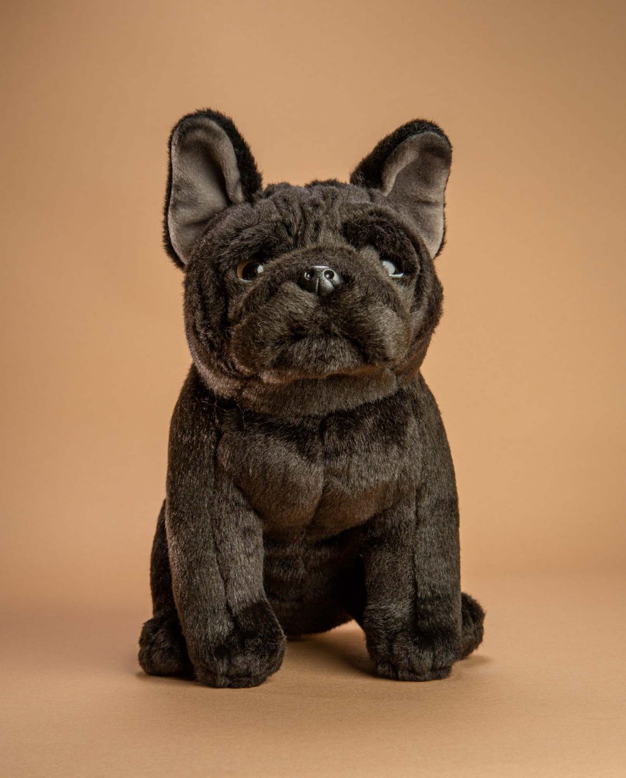 Black French Bulldog soft toy dog gift - Send a Cuddly