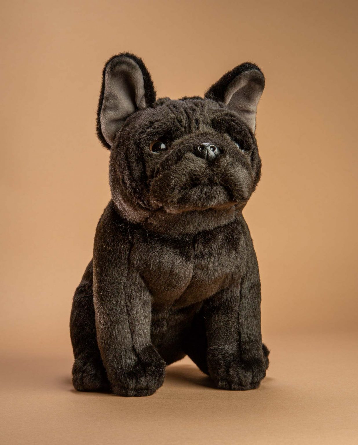 Black French Bulldog soft toy dog gift - Send a Cuddly