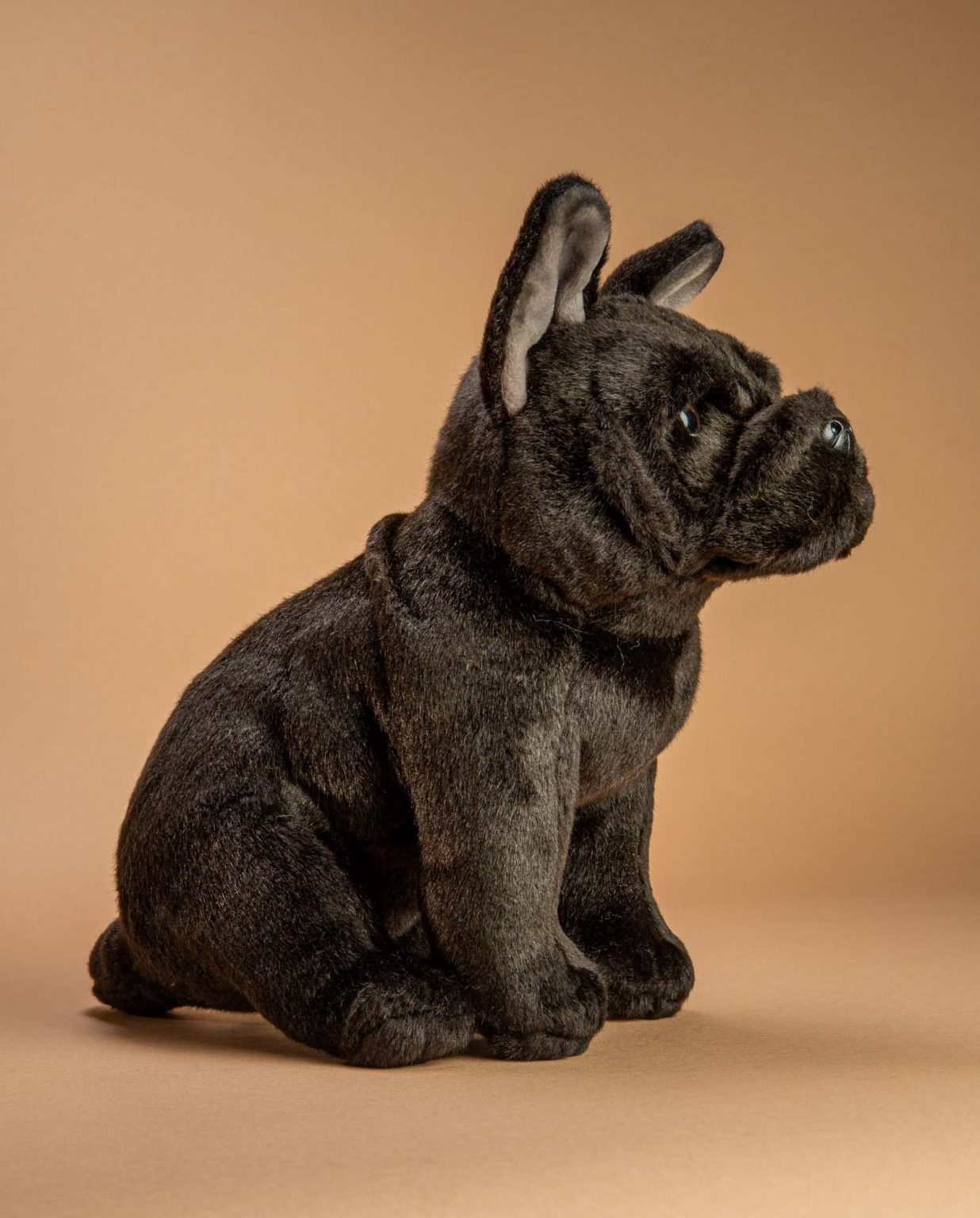 Black French Bulldog soft toy dog gift - Send a Cuddly