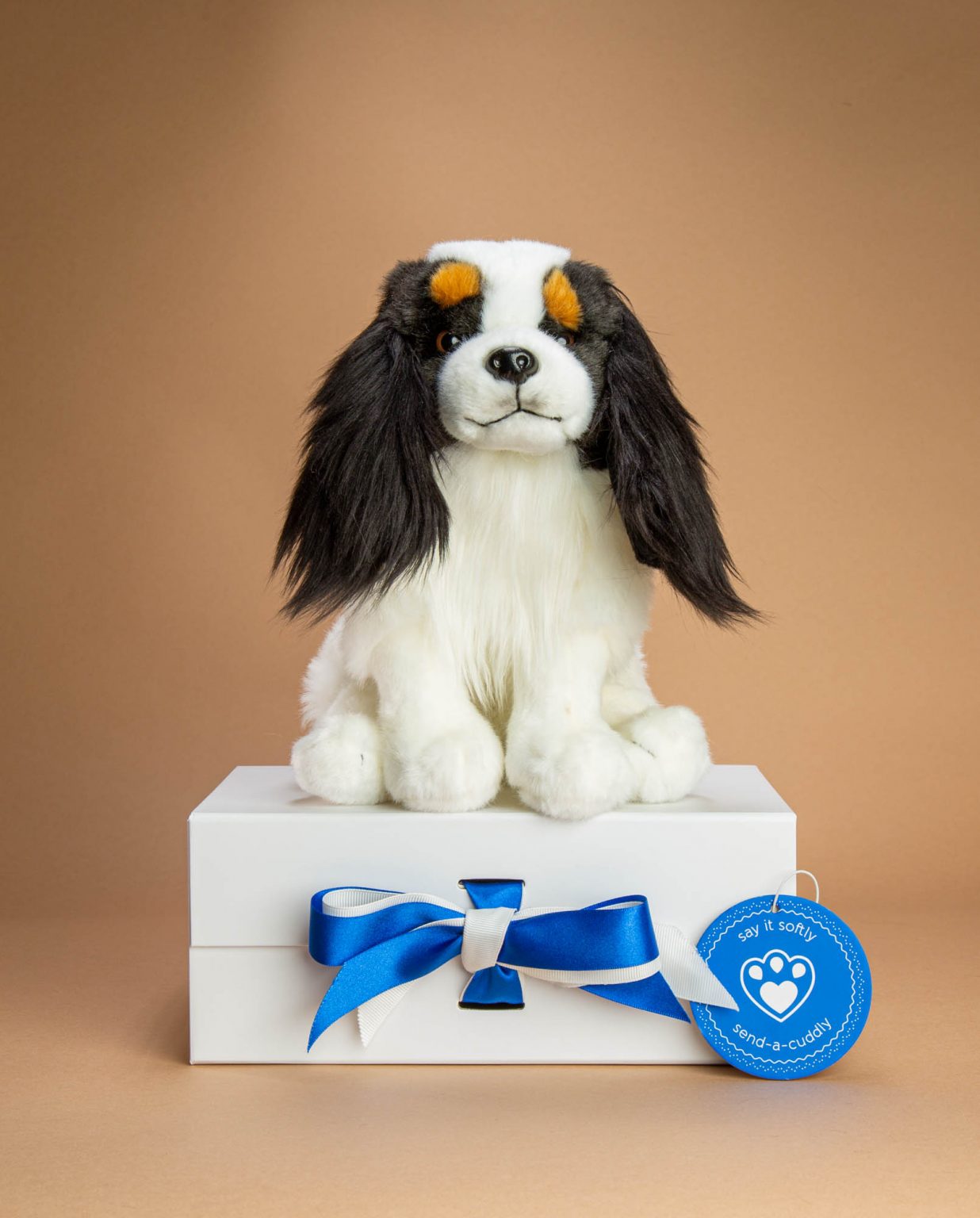 Tri-Colour King Charles Spaniel soft toy dog gift - Send a Cuddly