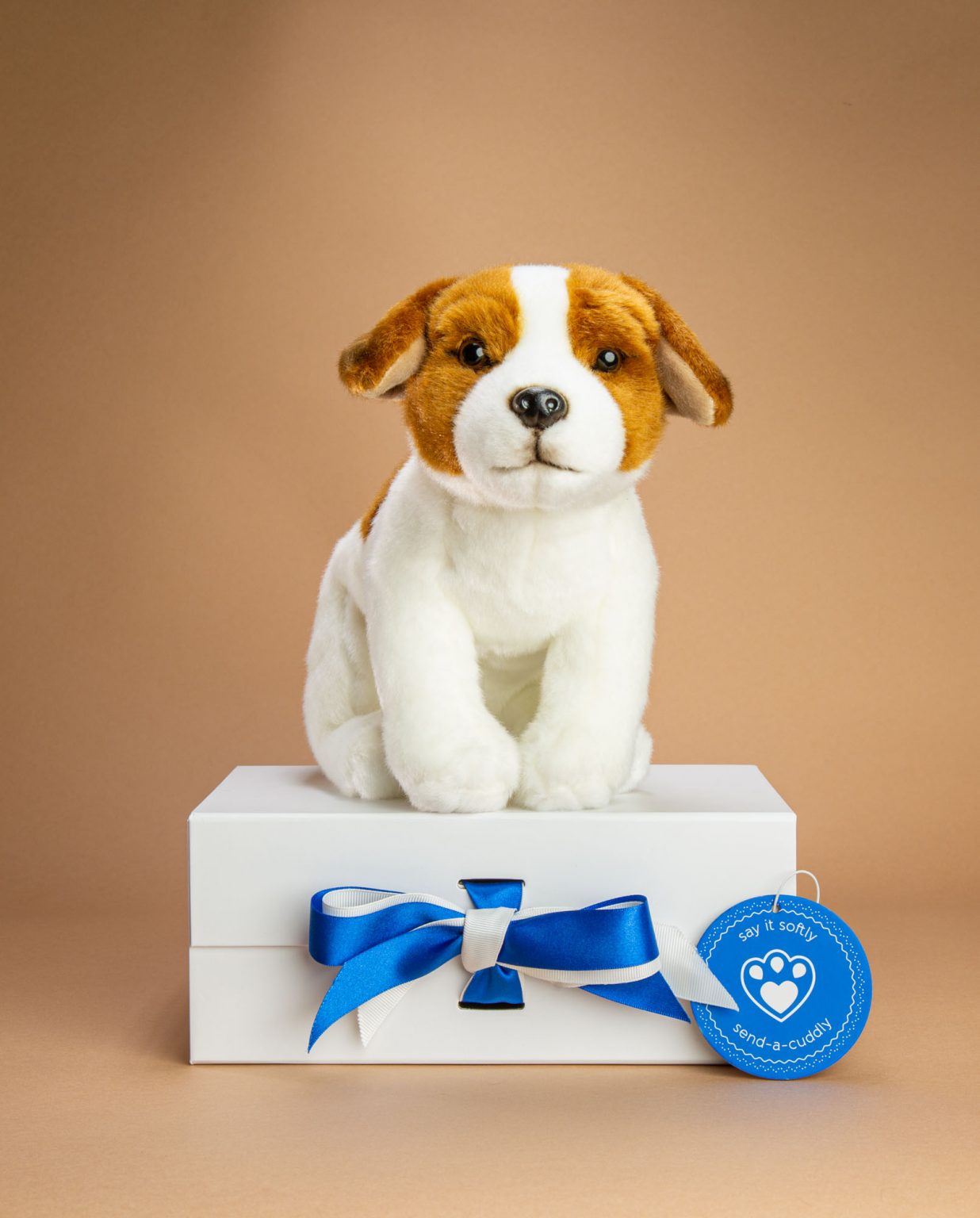 Jack Russell soft toy dog gift - Send a Cuddly