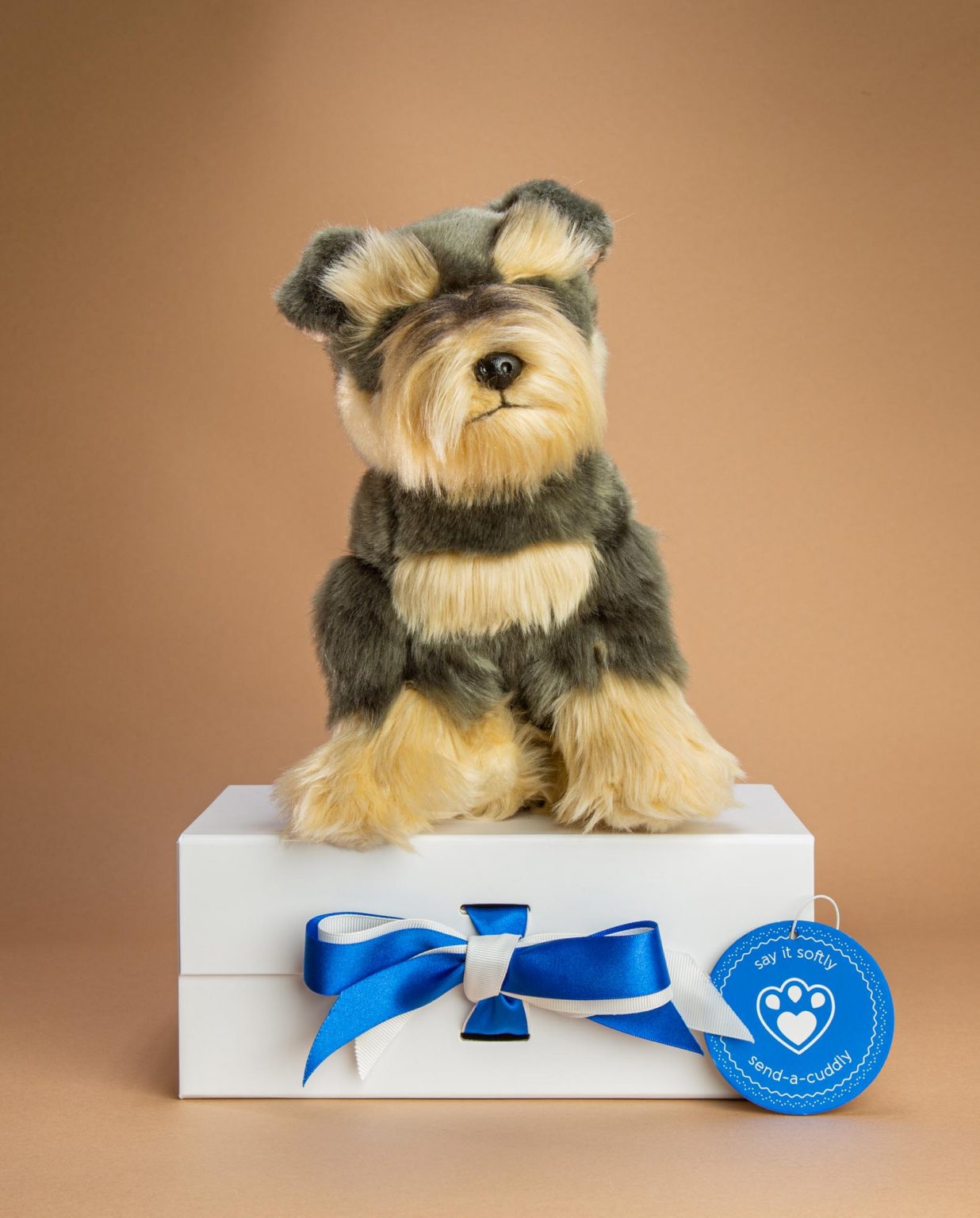 Schnauzer soft toy dog gift - Send a Cuddly