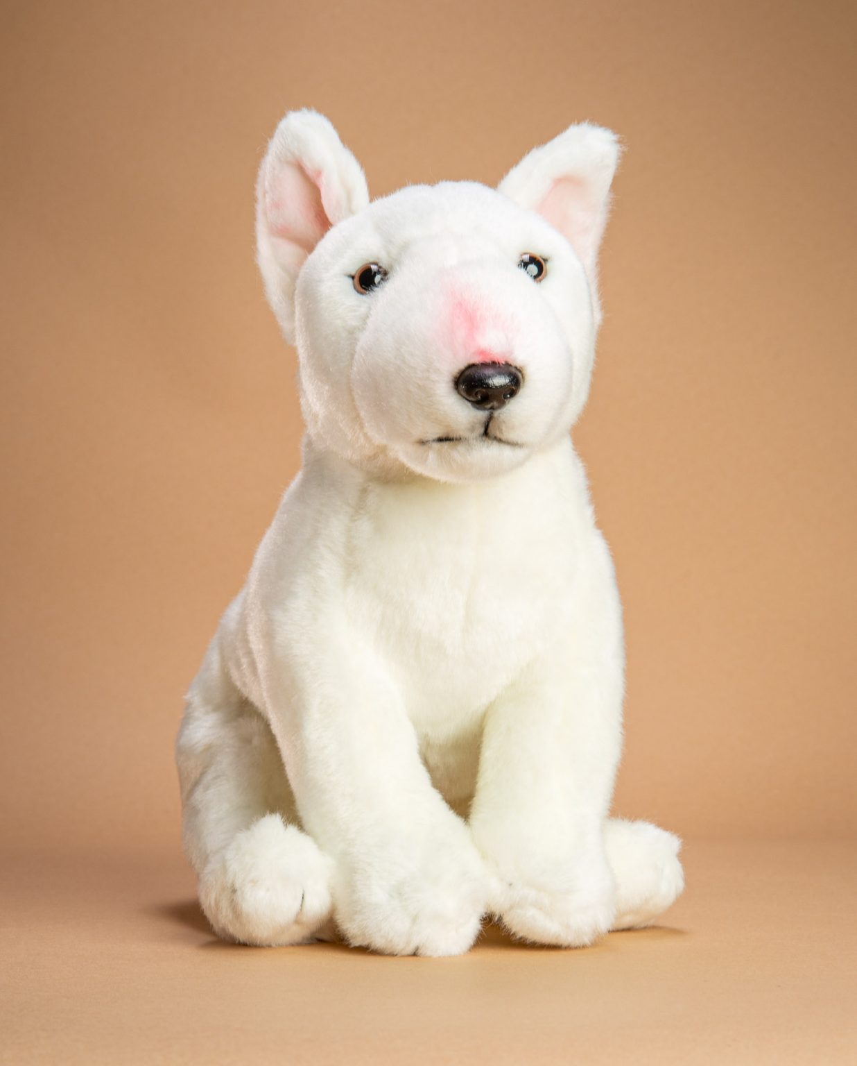 English Bull Terrier soft toy dog gift - Send a Cuddly