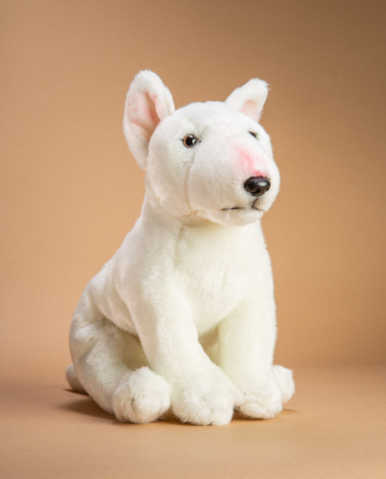 English Bull Terrier soft toy dog gift - Send a Cuddly