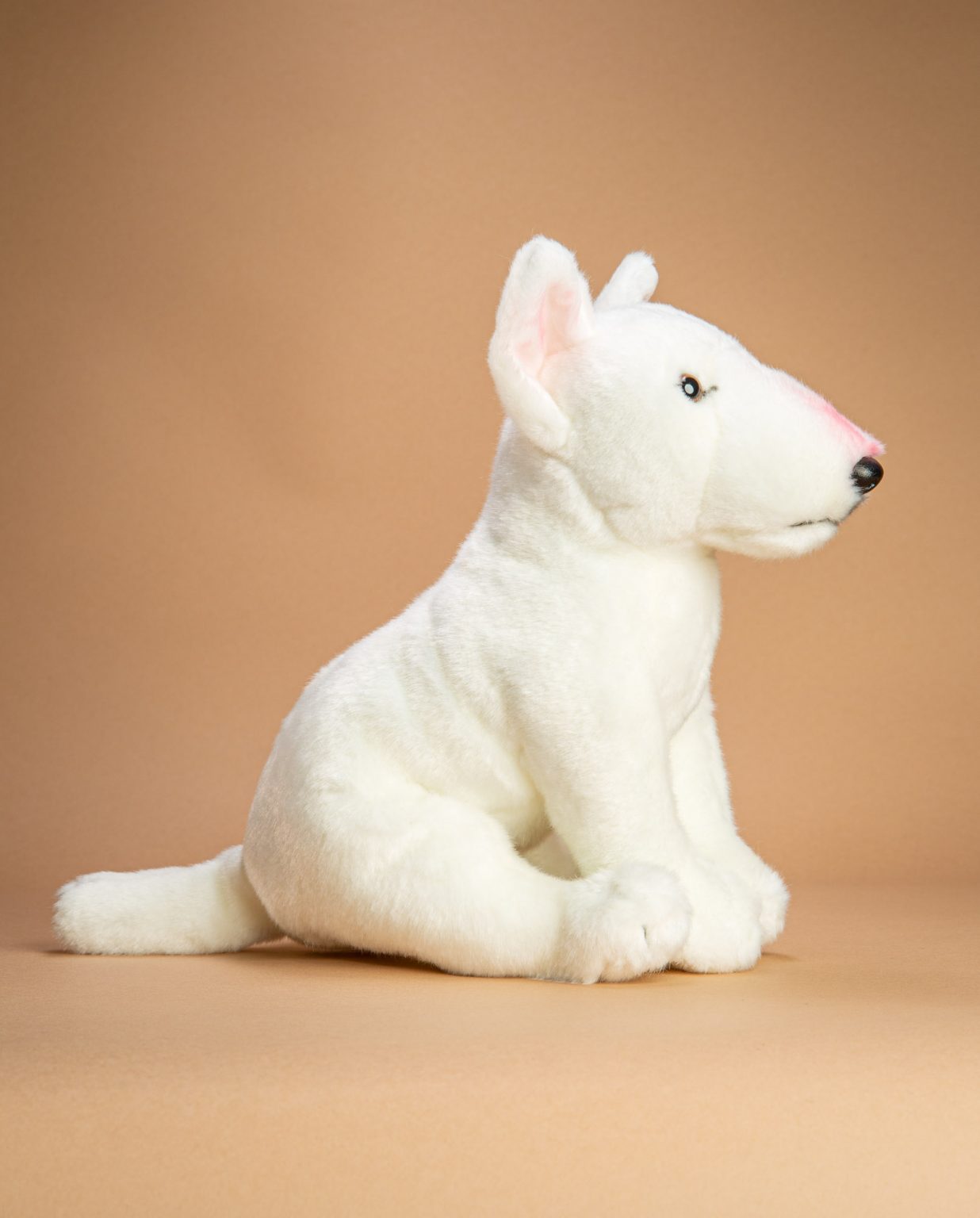 English Bull Terrier soft toy dog gift - Send a Cuddly