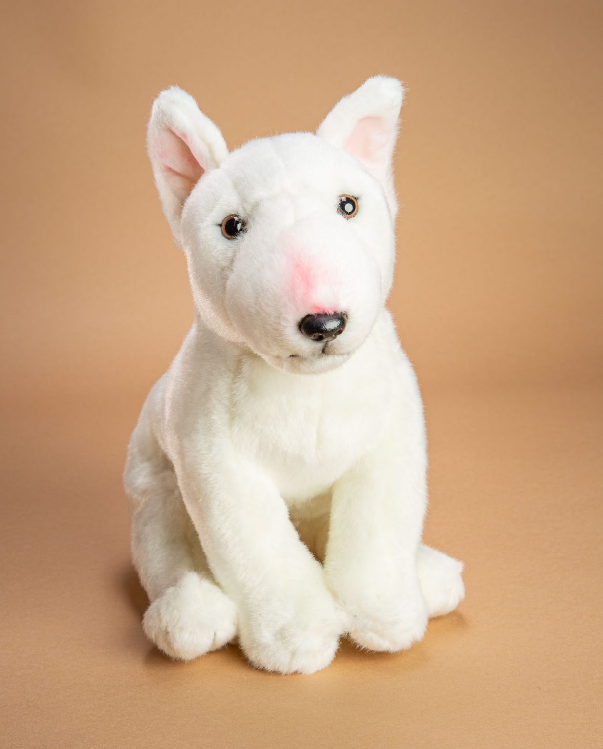 English Bull Terrier soft toy dog gift - Send a Cuddly
