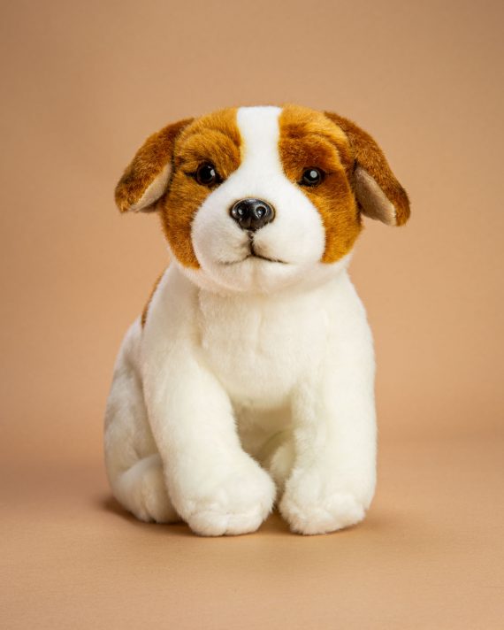 Jack Russell soft toy dog gift - Send a Cuddly