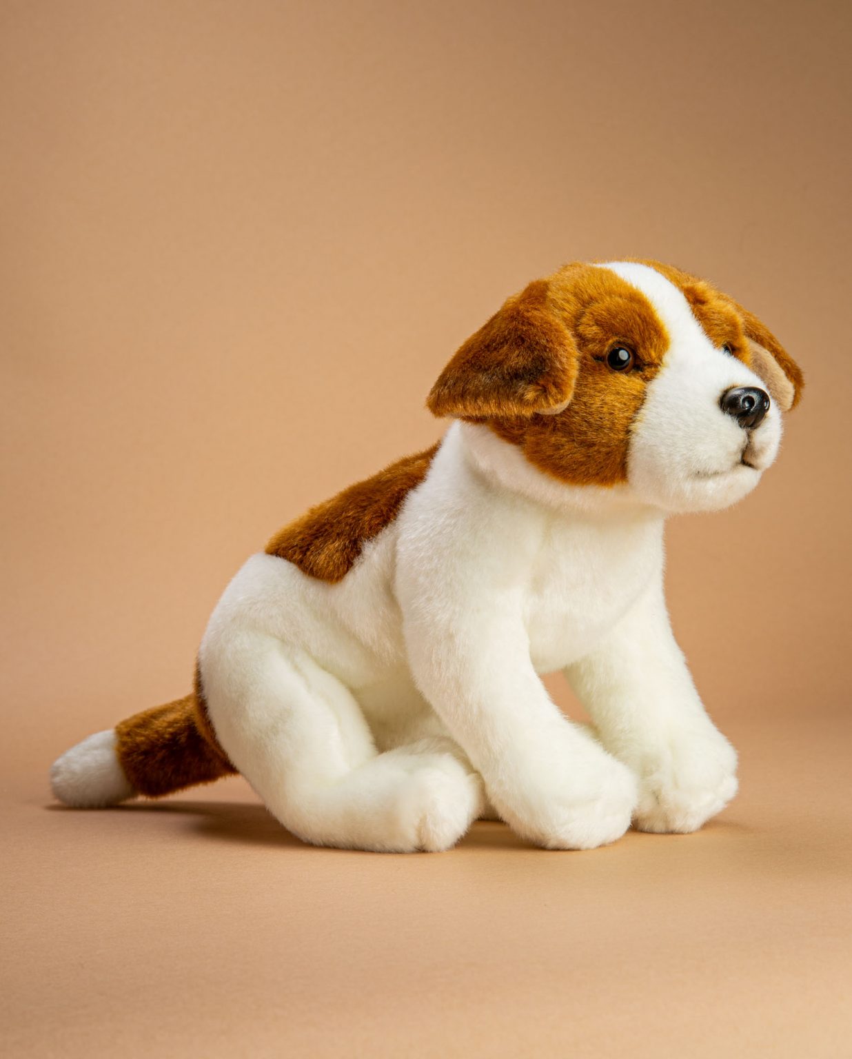 Jack Russell soft toy dog gift - Send a Cuddly