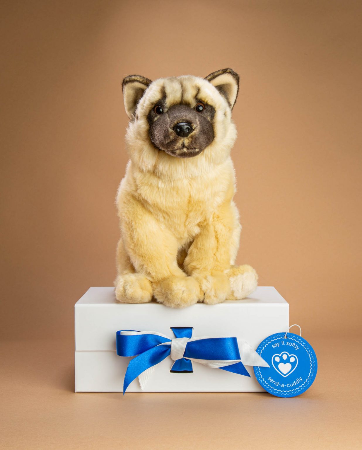 Akita Soft Toy Dog Gift - Send a Cuddly