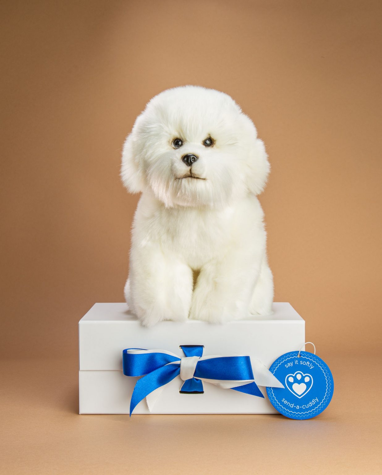 Bichon Frise soft toy dog - Send a Cuddly