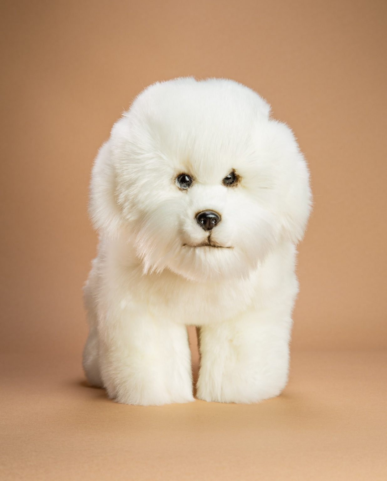 Bichon Frise soft toy dog - Send a Cuddly