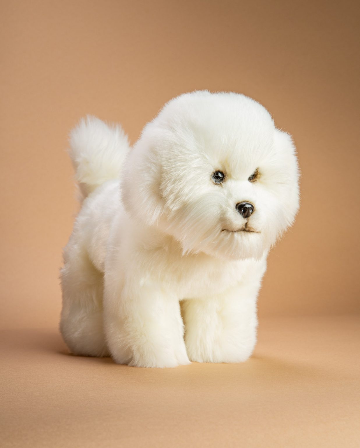 Bichon Frise soft toy dog - Send a Cuddly