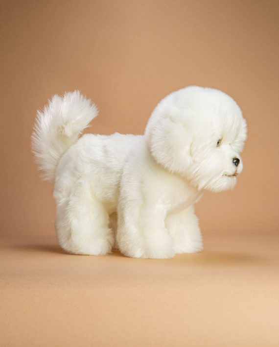Bichon Frise soft toy dog - Send a Cuddly