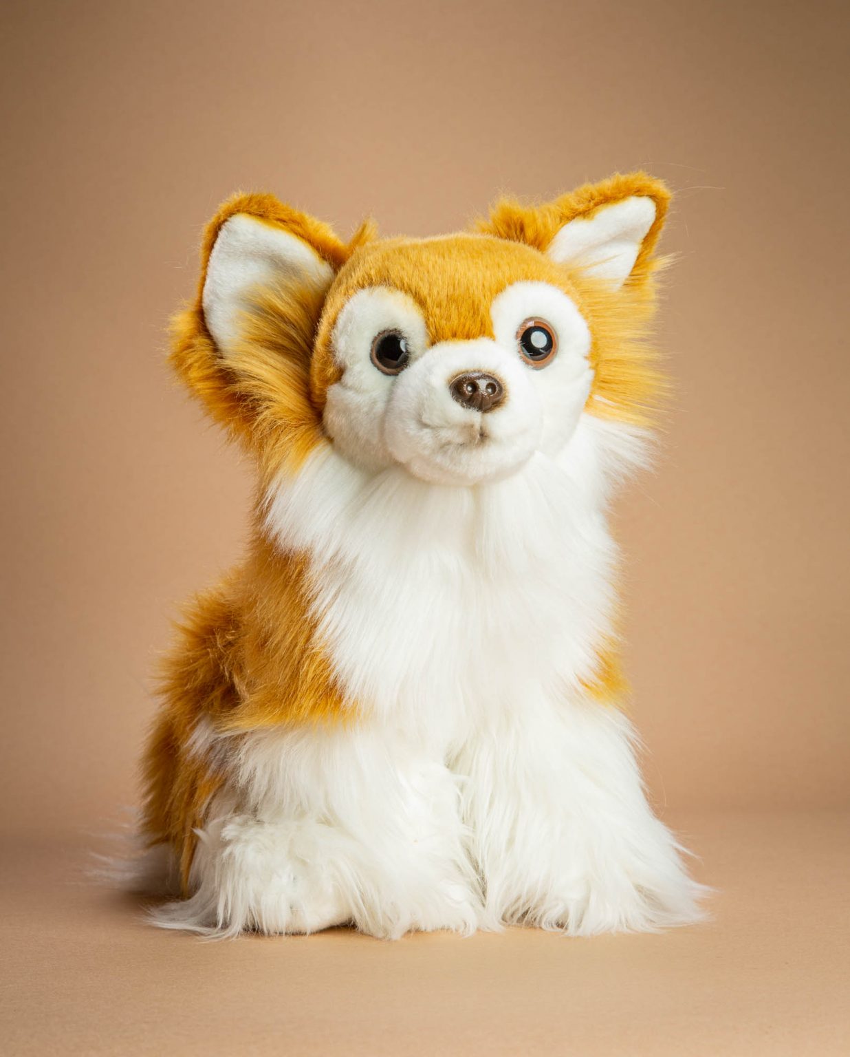 Long Haired Chihuahua soft toy gift - Send a Cuddly