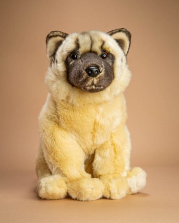 Akita Soft Toy Dog Gift - Send a Cuddly