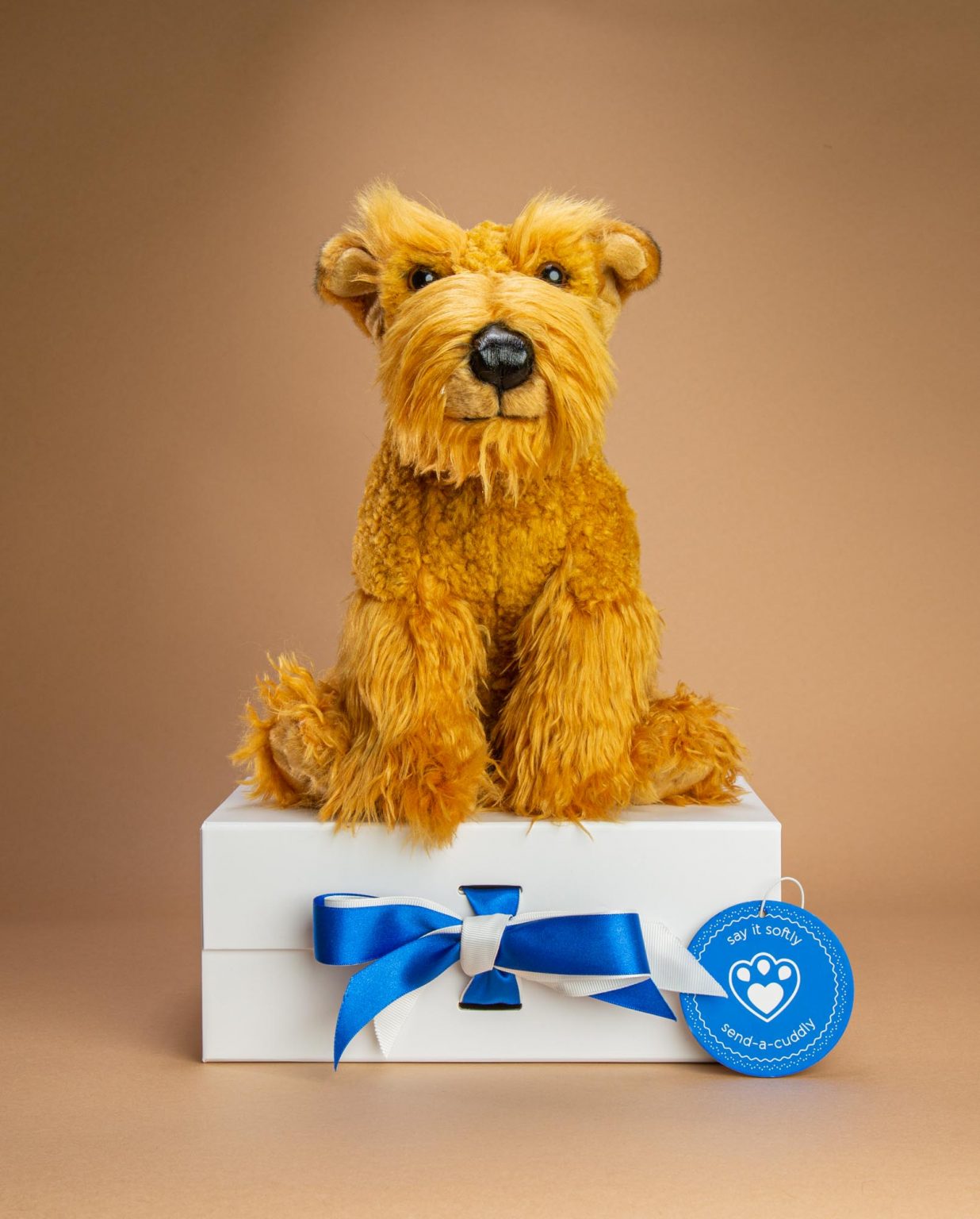 Airedale Soft Toy Dog Gift - Send a Cuddly