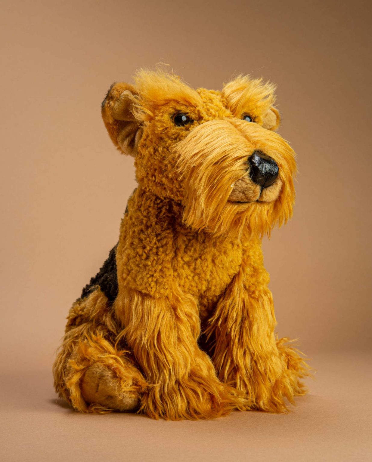 Airedale Soft Toy Dog Gift - Send a Cuddly