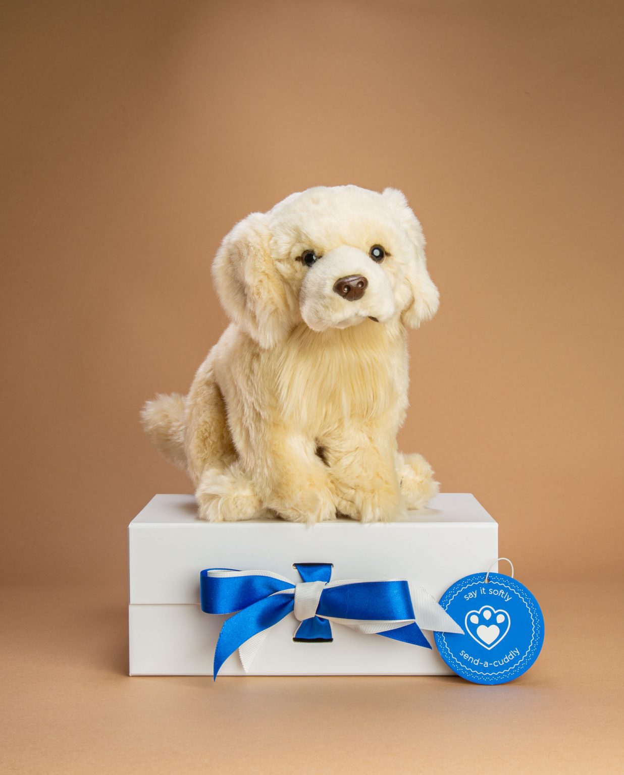 Golden Retriever Soft Toy Gift - Send a Cuddly