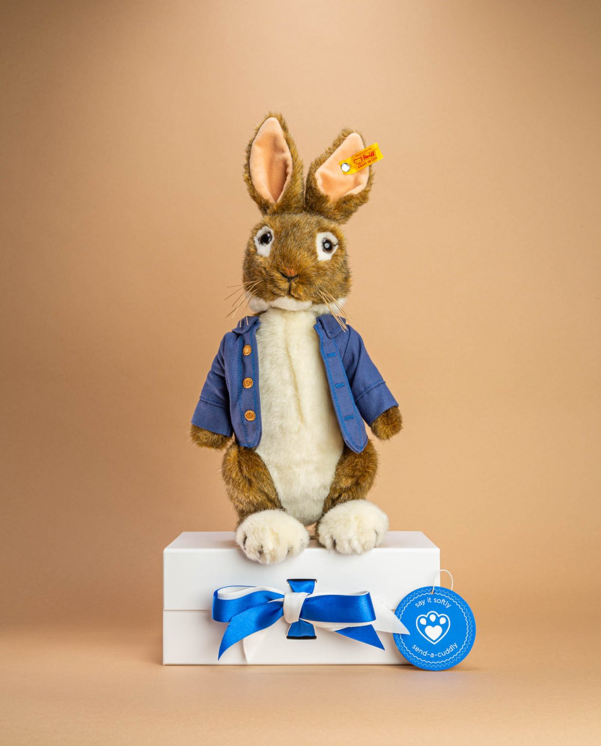 Peter Rabbit soft toy gift delivery