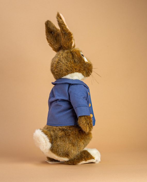 Peter Rabbit soft toy gift delivery