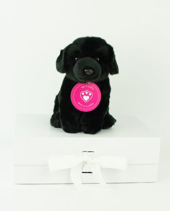 black cockapoo cuddly toy