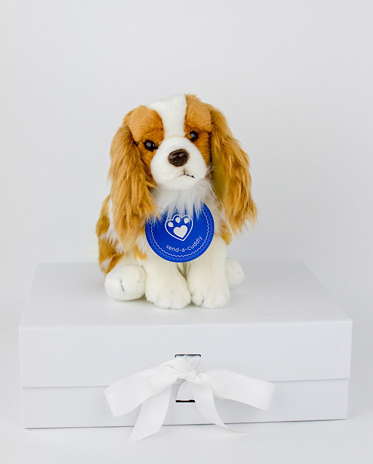 king charles spaniel plush toy