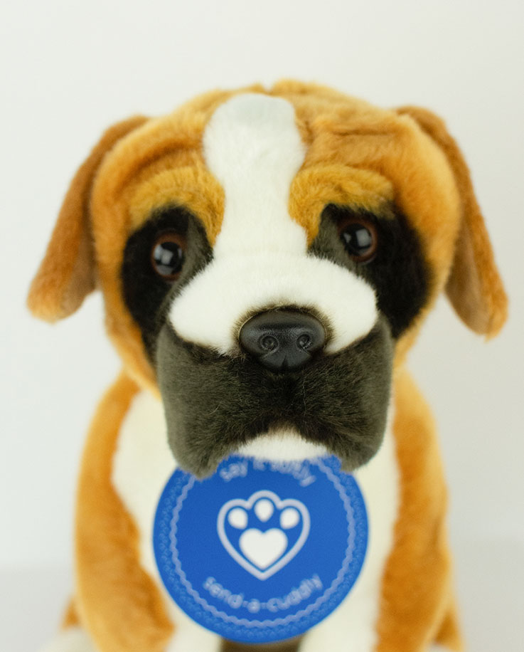Boxer Dog Puppy Soft Toy Boxer Dog Gifts Send a Cuddly