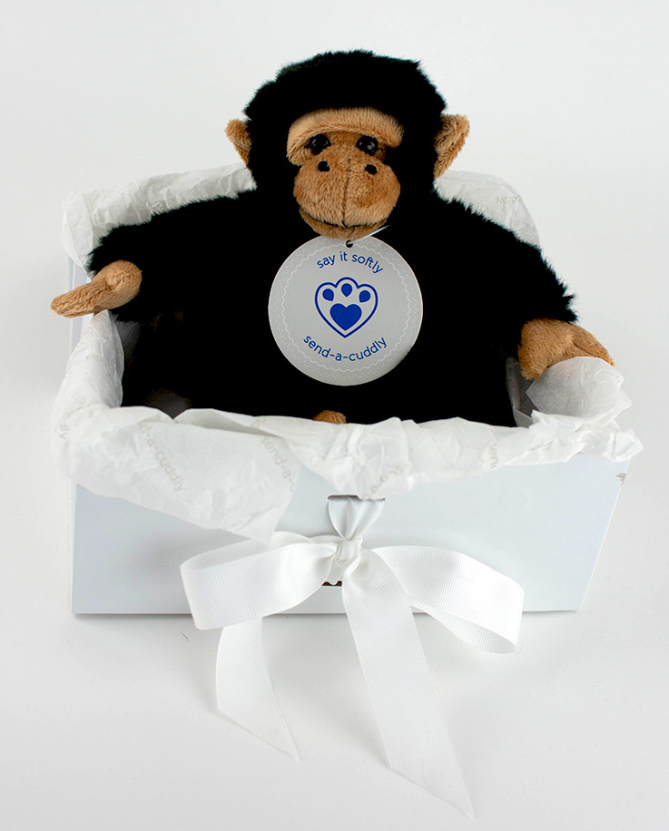 Cheeky Chimp Soft Toy Chimp Gift Idea Send a Cuddly Cheeky Chimp Soft Toy Chimp Gift Idea Send a Cuddly