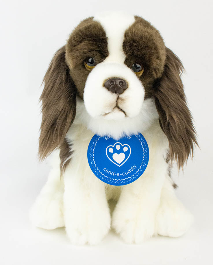 springer spaniel cuddly toy