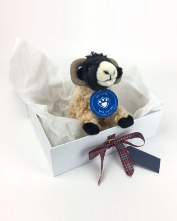 Highland Sheep Scottish Gift
