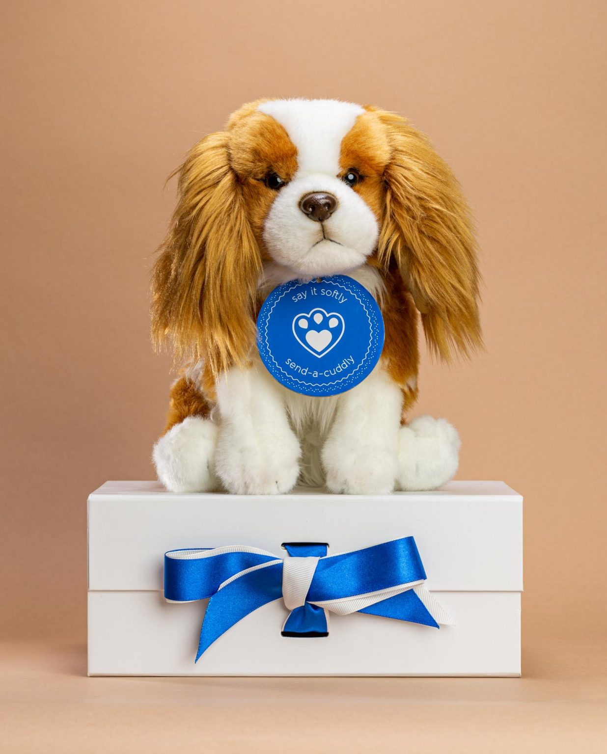 Blenheim Cavalier King Charles Spaniel Dog Soft Toy - Send a Cuddly