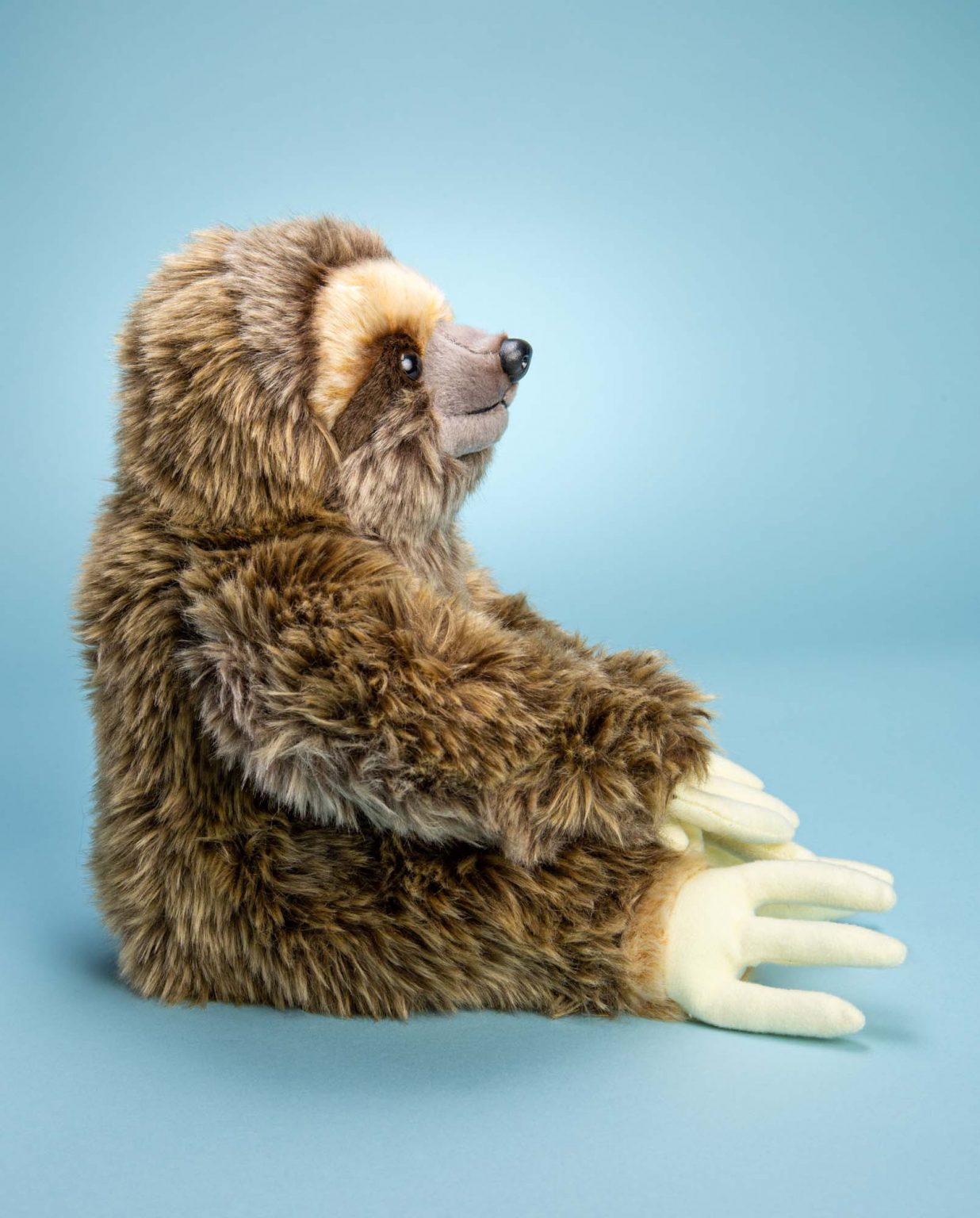 Sloth soft toy - Send a Cuddly