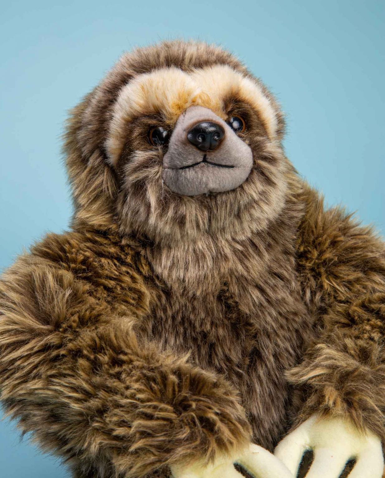 Sloth soft toy - Send a Cuddly