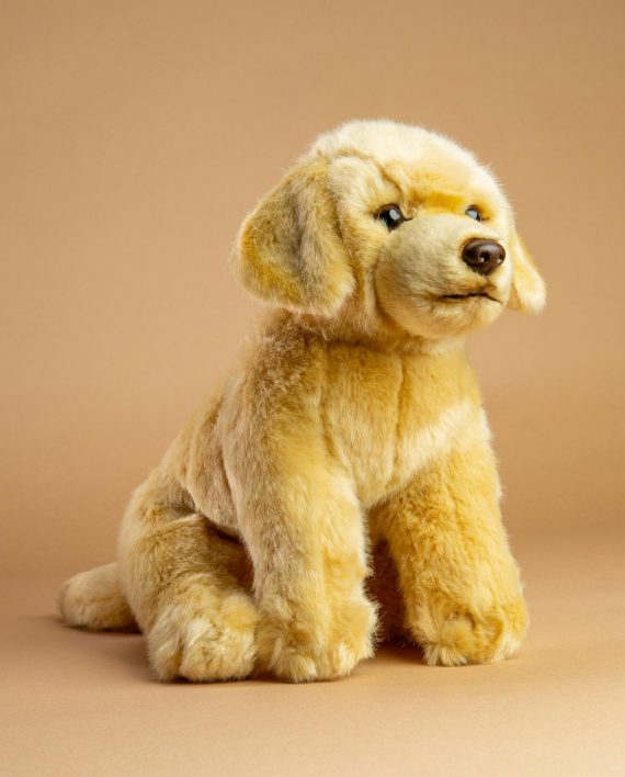 Yellow Labrador dog soft toy gift - Send a Cuddly
