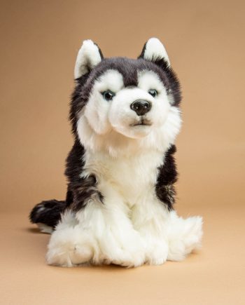 Siberian Husky dog soft toy gift - Send a Cuddly