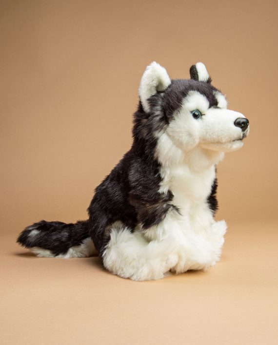Siberian Husky dog soft toy gift - Send a Cuddly