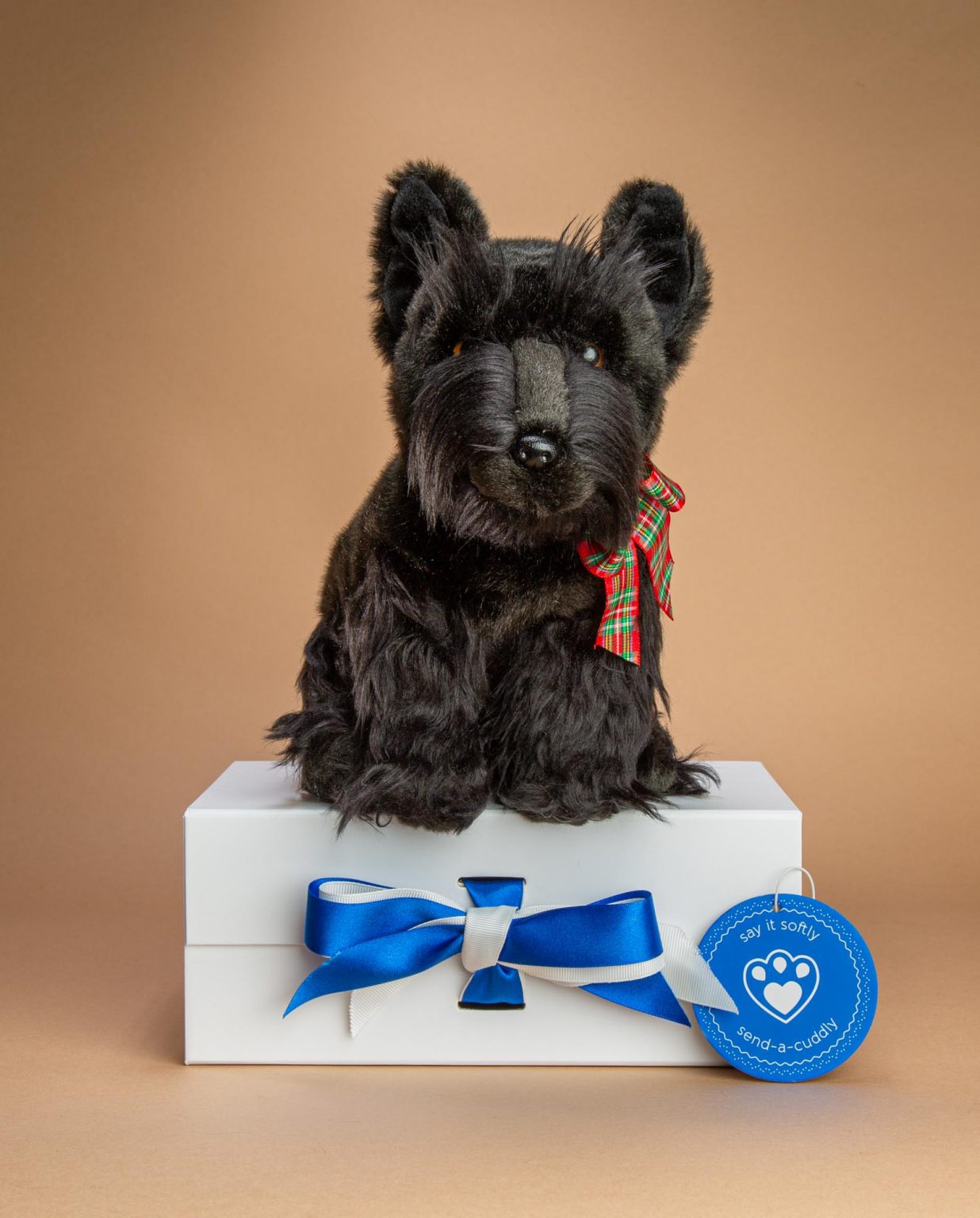 Scottish Terrier dog soft toy gift idea - Send a Cuddly