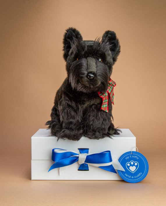 Smart Scottish Terrier Soft Toy Dog Soft Toy Gifts Send a Cuddly