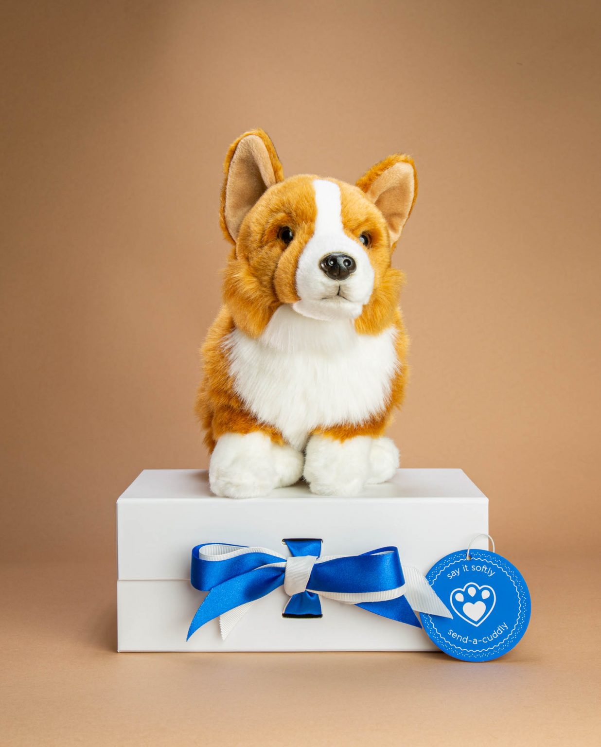 Classic Corgi Soft toy gift - Send a Cuddly