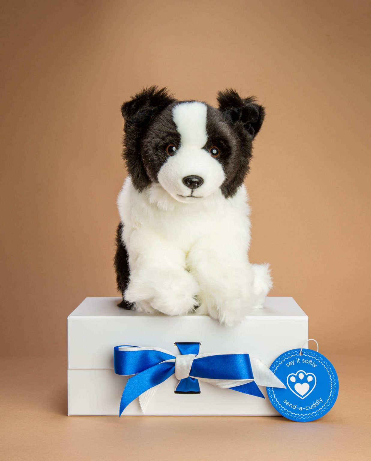 Border collie dog soft toy gift - Send a Cuddly