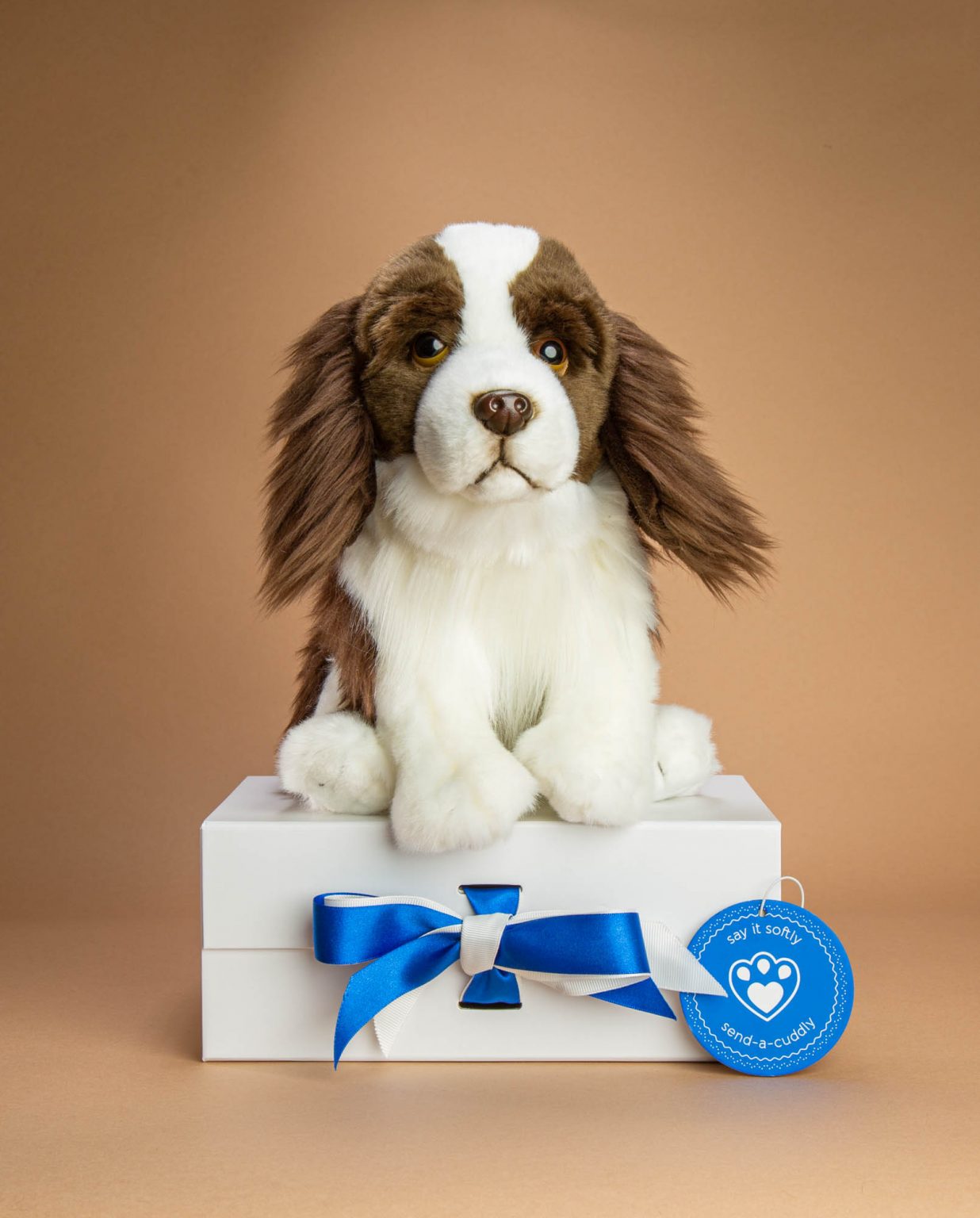 English Springer Spaniel soft toy gift - Send a Cuddly