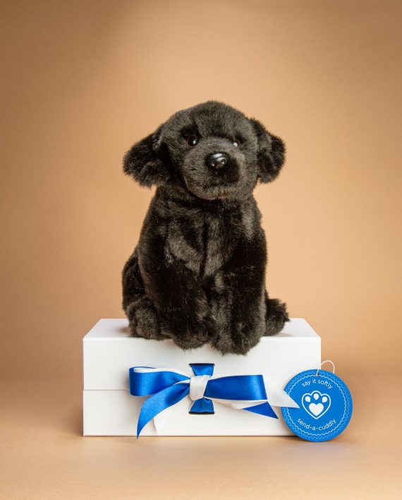 Black Labrador Soft toy gift - Send a Cuddly