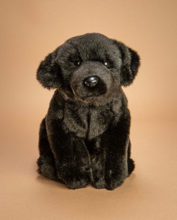 Black Labrador Soft toy gift - Send a Cuddly